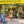 5-in-1 Kids Swing Set with Saucer Swing, Belt Swing, Basketball Hoop & Soccer Goal