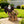 Majestic Eagle with Spread Wings Garden Planter Pot