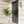 Indoor Outdoor Planter With Automatic Watering System