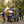 3-in-1 Folding Wagon Cart with Bench Seat, Canopy & Storage