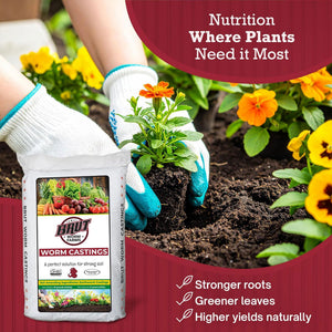 Brut Worm Farms Organic Worm Castings Soil Builder, 30 Pound Bag (6 Pack)