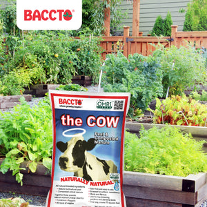 Michigan Peat Baccto Wholly Cow Horticulture Organic & Composted Manure, 40 Qt