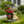 Sitting Corgi Dog Planter Outdoor Decor