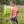 Genesis Mini, Youth Compound Bow and Arrow Kit with Quiver, Draw Hand-Right, Red