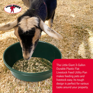 Little Giant 3 Gal Durable Flat Farm Livestock Feed Utility Pan, Green (4 Pack)