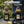Outdoor Garden Lantern Light with Warm LED Leaf Silhouette