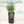 Planter For Outdoor