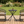 3-Piece Outdoor Wicker Bistro Set