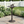 Lancaster Outdoor Aluminum and Iron Top Bird Bath with Iron Base, Bronze