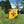 Morrell Yellow Jacket Supreme 3 28 Pound Adult Field Point Archery Bag Target
