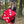 Morrell Targets High Roller Foam 6 Sided 21 Combo Archery Target, 13x13x13