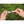 Intex River Run 1 Inflatable Floating Tube Raft for Lake, River & Pool, (6 Pack)