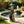 Solar-Powered Bear Welcome Statue