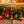 NOMA Quick Clip 66.8' LED Oudoor Christmas String Lights, 100 Multi-Color Bulbs