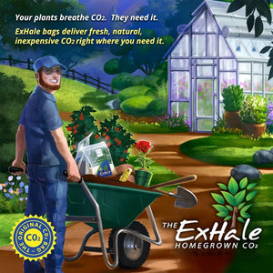 ExHale XL EX50002 Self Activated 6 Month 288 Cubic Foot Gardening CO2 Grow Bag