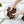 GROW!T JSCCM25 Coco Coir Mix Block for Hydroponics, Indoor, and Outdoor Plants