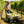 Folding Poly Garden Dump Truck with Steel Frame and Pneumatic Tires