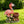 Outdoor Garden Sculpture Flamingo Flower Pot Planter