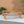 Nestor Bench