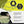 Brush Grubber Tugger Extreme Chain for Attaching Brush Grubber Tools to Vehicle