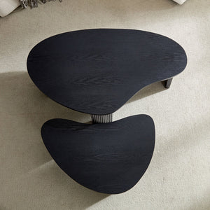 2-Piece Modern Irregular Shape Coffee Table Set
