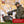 Avian-X AVX8011 Lifelike Collapsible Laydown Breeding Hen Turkey Hunting Decoy