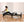 Stamina AeroPilates Reformer Whole Body Resistance Pilates Workout Board Machine - TRAPSKI