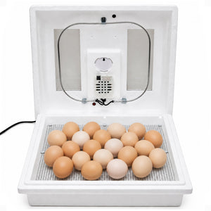 Farm Innovators 2100 Still Air Incubator w/ Reliable Temperature Settings, White