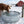 Farm Innovators C-500 Submergible Cast Aluminum Utility De-Icer for Farm Use