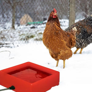 Farm Innovators D-19 1.25 Gallon 60W Electric Heated Chicken Pet Water Bowl, Red - TRAPSKI