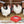 Farm Innovators D-19 1.25 Gallon 60W Electric Heated Chicken Pet Water Bowl, Red - TRAPSKI