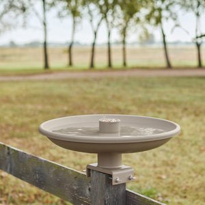 Farm Innovators 150W Outdoor Plastic Heated Birdbath w/Deck Mount & Perch, Tan