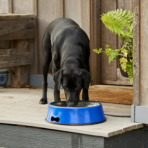 Farm Innovators Signature Series 3QT Heated Pet Bowl with Stainless Steel Insert