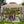 Sunjoy 10 x 10 Foot Hampton Soft Top Steel Gazebo with Mosquito Netting, Brown