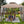 Sunjoy 10 x 10 Foot Hampton Soft Top Steel Gazebo with Mosquito Netting, Brown