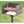 Pilot Rock CBP-135 Park Style Outdoor Camping BBQ Charcoal Grill with Swivel - TRAPSKI