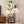 Plant Stand Indoor with Grow Lights - 62