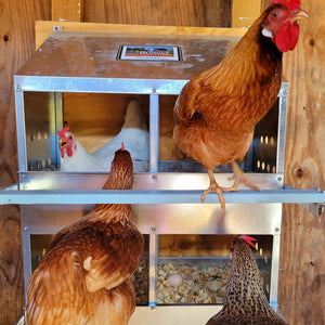 Brower 404B Galvanized Steel 4 Hole 20 Bird Poultry Nest Chicken Brooding Box