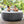 Intex PureSpa Plus Inflatable Hot Tub + Intex PureSpa Tray Accessories (4 Pack)