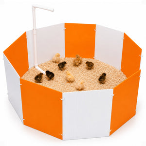 Farm Innovators 3700 Baby Chick Starter Home Kit with Adjustable Lamp Hanger