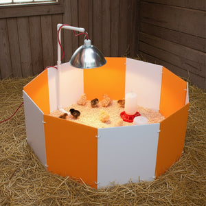 Farm Innovators 3700 Baby Chick Starter Home Kit with Adjustable Lamp Hanger