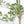 6ft Artificial Olive Tree, Realistic Faux Potted Plant