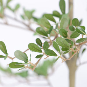 6ft Artificial Olive Tree, Realistic Faux Potted Plant