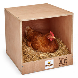 Rugged Range Products Studio Chicken Coop Interior Nesting Box for 1 to 2 Hens