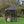Lucky Dog STAY Series 4 x 4 x 6 Foot Roofed Steel Frame Studio Dog Kennel, Grey