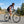 26 Inch Mountain Bike Adjustable with 6-Speed and All-terrain Rubber Wheels