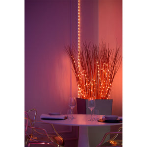 Twinkly Dots App-Controlled Flexible LED Lights 60 RGB Black Wire USB-Power
