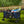 Gorilla Carts 7 Cubic Feet Foldable Utility Beach Wagon with Oversized Bed, Blue