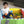 Baby Einstein Newborn 5 in 1 Ball Pit Gym Playspace Activity Play Center Mat