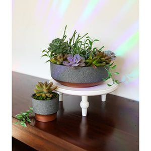 The HC Companies 8 In Capri Bowl Indoor Succulent Planter, Faux Concrete Copper - TRAPSKI